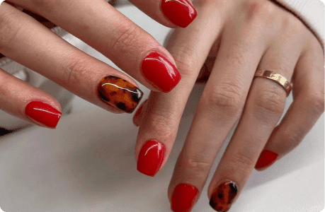 SEM Case Study for The Nail Shop - 1